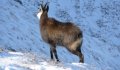 Fotogaléria Vysoké Tatry - Belianske Tatry 15