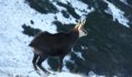 Fotogaléria Vysoké Tatry - Belianske Tatry 14