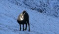 Fotogaléria Vysoké Tatry - Belianske Tatry 13