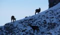 Fotogaléria Vysoké Tatry - Belianske Tatry 9