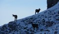 Fotogaléria Vysoké Tatry - Belianske Tatry 7