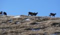 Fotogaléria Vysoké Tatry - Belianske Tatry 19