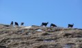 Fotogaléria Vysoké Tatry - Belianske Tatry 20