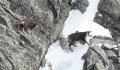 Fotogaléria Vysoké Tatry - Gerlachovský štít 19