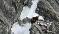 Fotogaléria Vysoké Tatry - Gerlachovský štít 18