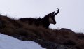 Fotogaléria Vysoké Tatry - Kolový štít 26