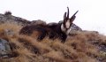 Fotogaléria Vysoké Tatry - Kolový štít 27