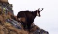 Fotogaléria Vysoké Tatry - Kolový štít 29