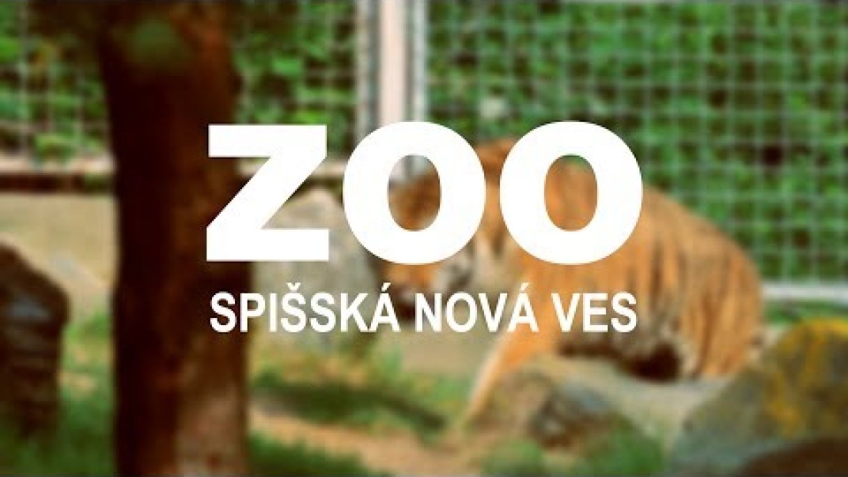 ZOO Spišská Nová Ves - Oficialne Promo 2017 Autor: Flux Films Zdroj: https://www.youtube.com/@fluxfilms4172 ZOO Spišská Nová Ves - Oficialne Promo 2017 Autor: Flux Films Zdroj: https://www.youtube.com/@fluxfilms4172