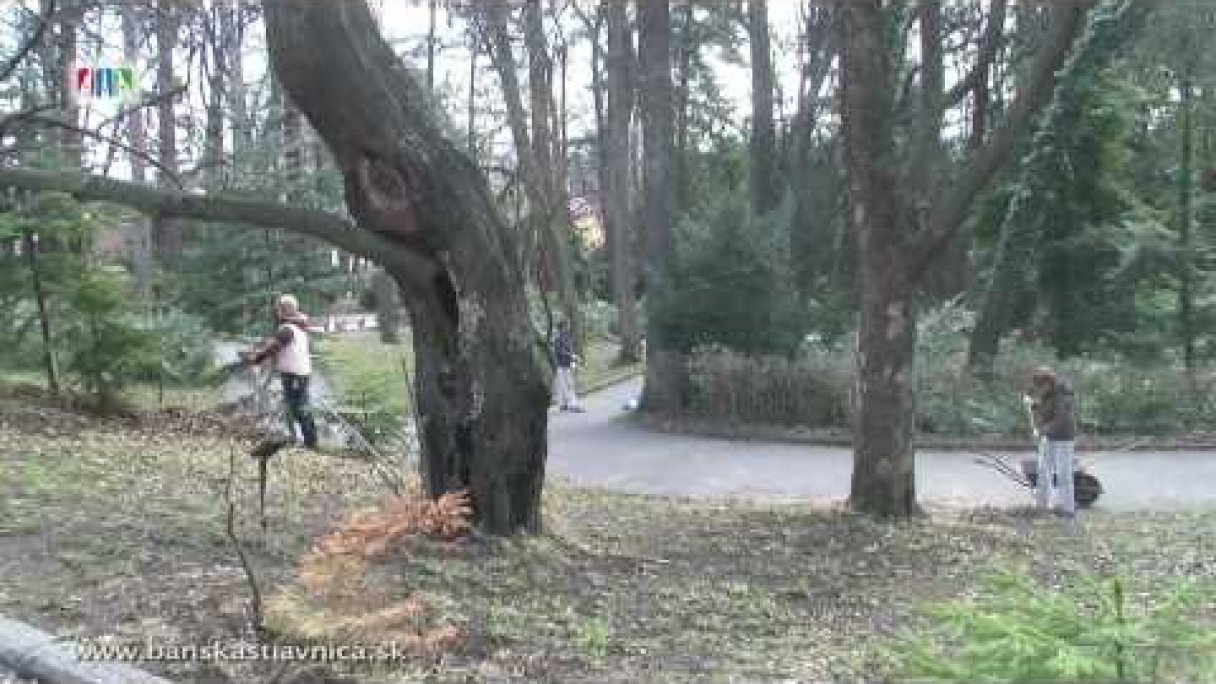 Jarná Brigáda dobrovoľníkov v Botanickej záhrade Autor: Mluvicioko Zdroj: https://www.youtube.com/@Mluvicioko Jarná Brigáda dobrovoľníkov v Botanickej záhrade Autor: Mluvicioko Zdroj: https://www.youtube.com/@Mluvicioko
