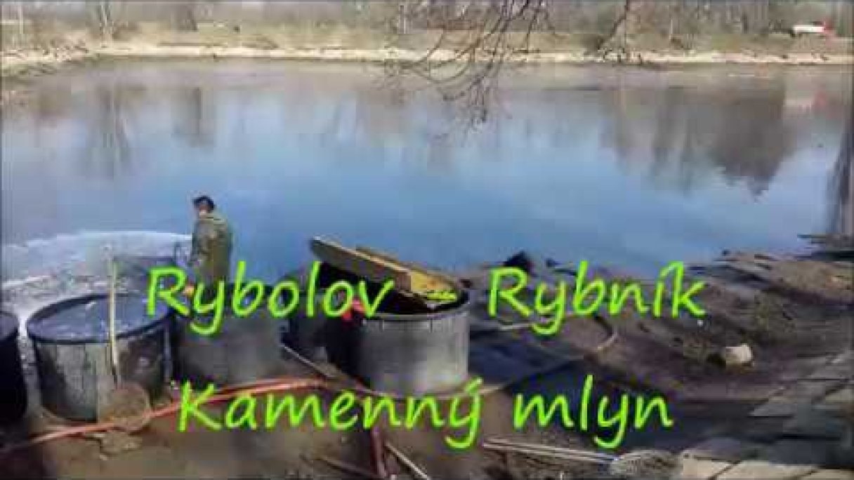 Rybolov 25.3.2018 Kamenný mlyn Trnava! Super zážitok pre  deti aj pre dospelých Autor: bajuc1 Zdroj: https://www.youtube.com/@bajuc1703