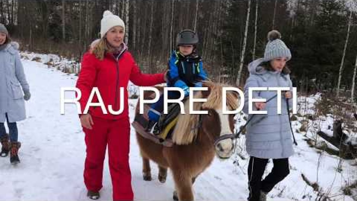 Jazda na koníkovi v areáli hotela Hubert, Gerlachov - Vysoké Tatry Autor: Hotel Hubert**** Zdroj: https://www.youtube.com/@hotelhubert1231