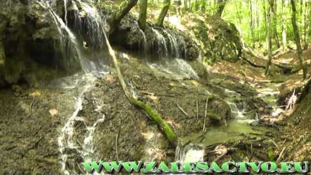 Dračia Studňa - Biele Karpaty (Waterfall) Autor: Lukas Blaho - ZALESACTVO Zdroj: https://www.youtube.com/@Luki_Zalesactvo Dračia Studňa - Biele Karpaty (Waterfall) Autor: Lukas Blaho - ZALESACTVO Zdroj: https://www.youtube.com/@Luki_Zalesactvo