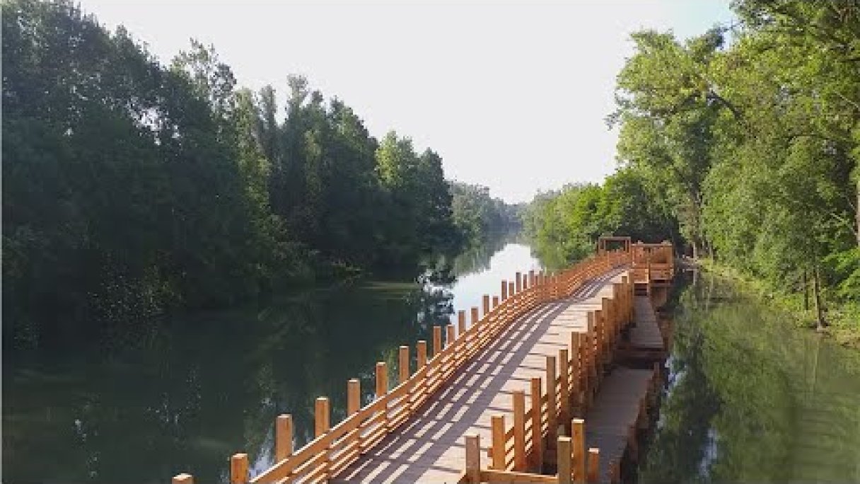 Korzo Zálesie Autor: Miloš Kasal Zdroj: https://www.youtube.com/@miloskasal Korzo Zálesie Autor: Miloš Kasal Zdroj: https://www.youtube.com/@miloskasal