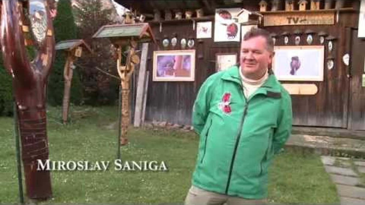 Osobnosti - Miroslav Saniga Autor: Iná Liga Zdroj: https://www.youtube.com/@InaLiga Osobnosti - Miroslav Saniga Autor: Iná Liga Zdroj: https://www.youtube.com/@InaLiga