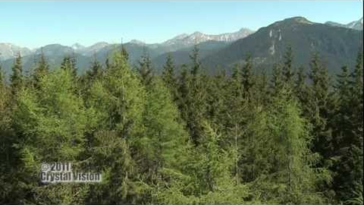 Rozhľadňa Skorušina (Brezovica) Autor: Slovensky Trip Zdroj: https://www.youtube.com/@slovaktrip Rozhľadňa Skorušina (Brezovica) Autor: Slovensky Trip Zdroj: https://www.youtube.com/@slovaktrip