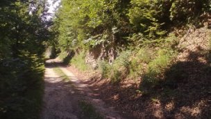 Privát Palenčár Spišské Vlachy 5