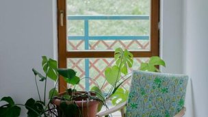 Penzión Salamander Mlynky 6 Penzión Salamander Mlynky 6