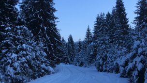 Chata pod Skorušinou Brezovica (okres Tvrdošín) 6