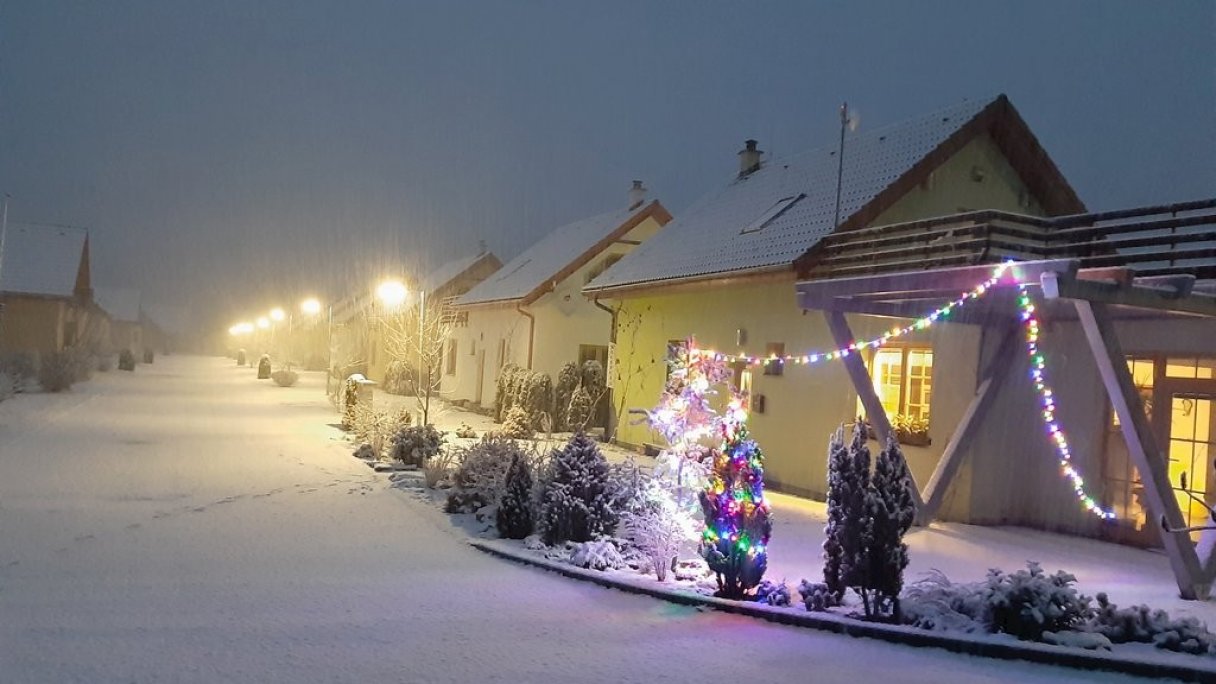 Villapark Vlašky Vlachy 1