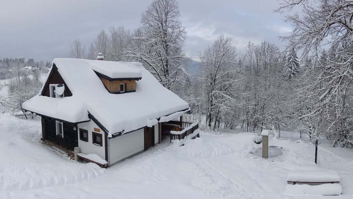 Drevenice Živčáková Korňa 1