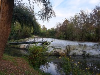 img_20221008_170919.jpg