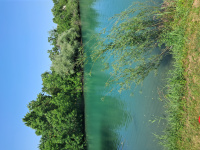 20250610_145334.jpg