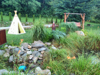 img20240711195518.jpg