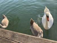 img_5473.jpeg