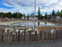 20250915_155216.jpg