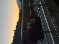 img_6936.jpeg