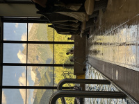 img_9647.jpeg